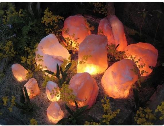 Natural Lamp