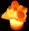 Crafted Lamp
